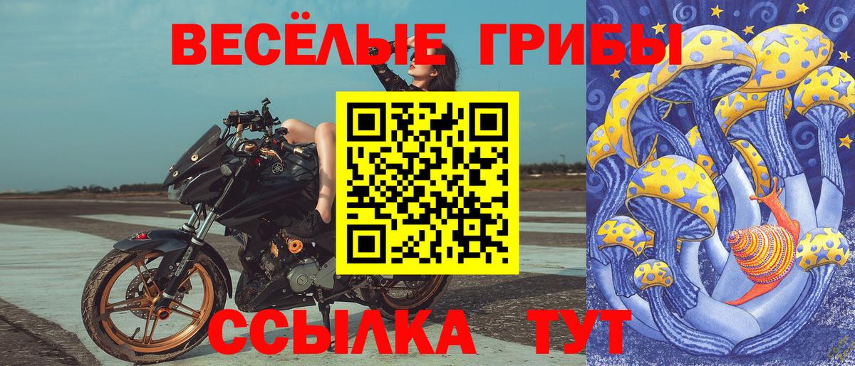 Галлюциногенные грибы GOLDEN TEACHER Елец