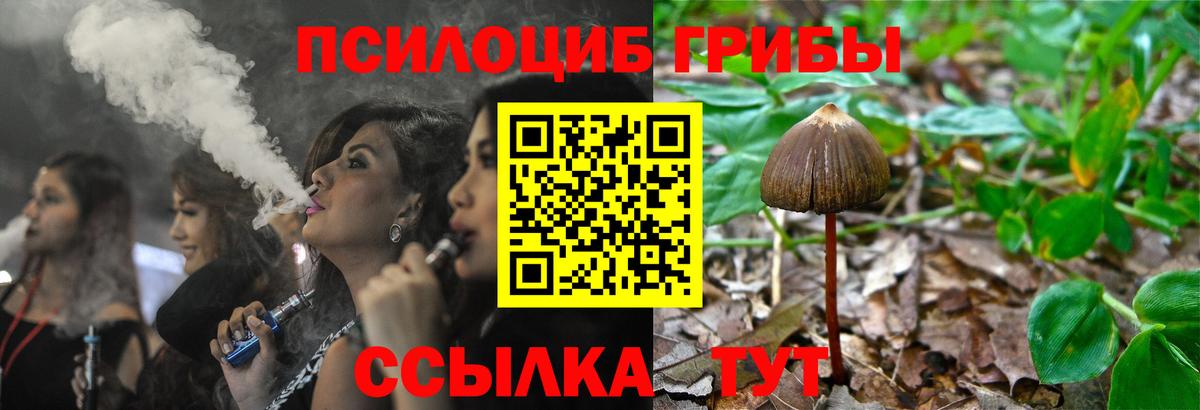 Елец  Галлюциногенные грибы Magic Shrooms  где купить наркотик  Вход с VPN 